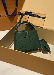 Louis Vuitton Capucines BB Ostrich Leather 003 - 4
