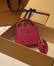 Louis Vuitton Capucines BB Ostrich Leather 004 - 6
