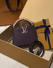 Louis Vuitton Capucines BB Ostrich Leather 005 - 6