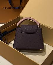 Louis Vuitton Capucines BB Ostrich Leather 005 - 4