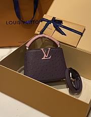 Louis Vuitton Capucines BB Ostrich Leather 005 - 1