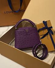 Louis Vuitton Capucines BB Ostrich Leather 006 - 1