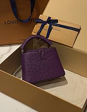 Louis Vuitton Capucines BB Ostrich Leather 006 - 6