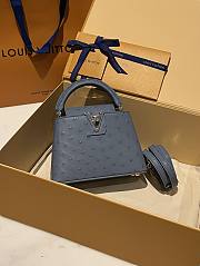 Louis Vuitton Capucines BB Ostrich Leather 007 - 1