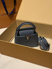 Louis Vuitton Capucines BB Ostrich Leather 007 - 6