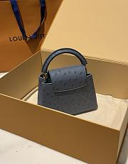 Louis Vuitton Capucines BB Ostrich Leather 007 - 5