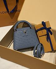 Louis Vuitton Capucines BB Ostrich Leather 007 - 4