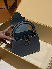 Louis Vuitton Capucines BB Ostrich Leather 007 - 2