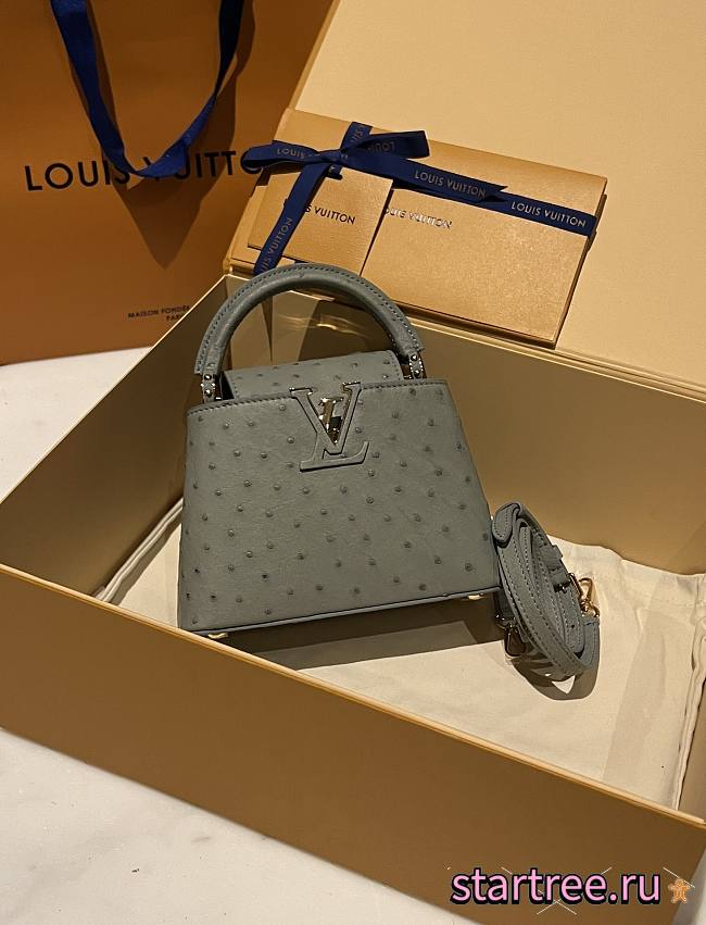 Louis Vuitton Capucines BB Ostrich Leather 008 - 1