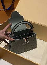 Louis Vuitton Capucines BB Ostrich Leather 008 - 6
