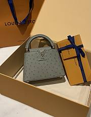Louis Vuitton Capucines BB Ostrich Leather 008 - 5