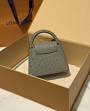 Louis Vuitton Capucines BB Ostrich Leather 008 - 4