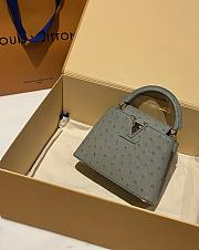 Louis Vuitton Capucines BB Ostrich Leather 008 - 3