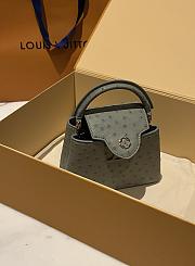 Louis Vuitton Capucines BB Ostrich Leather 008 - 2