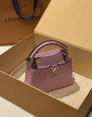 Louis Vuitton Capucines BB Ostrich Leather 009 - 6