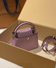 Louis Vuitton Capucines BB Ostrich Leather 009 - 5