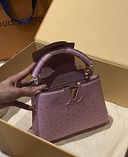 Louis Vuitton Capucines BB Ostrich Leather 009 - 2