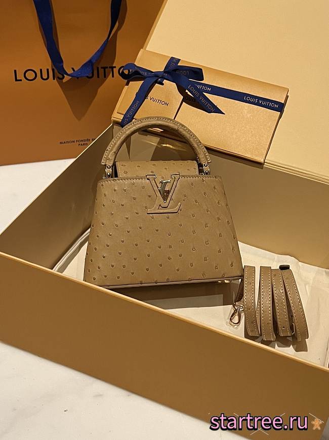 Louis Vuitton Capucines BB Ostrich Leather 010 - 1