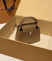 Louis Vuitton Capucines BB Ostrich Leather 010 - 6