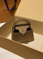 Louis Vuitton Capucines BB Ostrich Leather 010 - 3