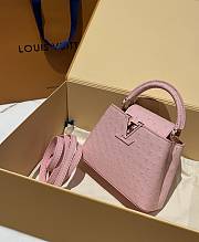 Louis Vuitton Capucines BB Ostrich Leather 011 - 3