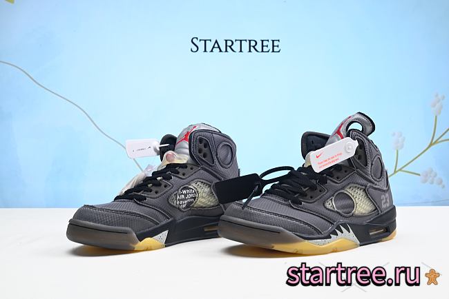 Air Jordan 5-CT8480-001 Sneaker - 1