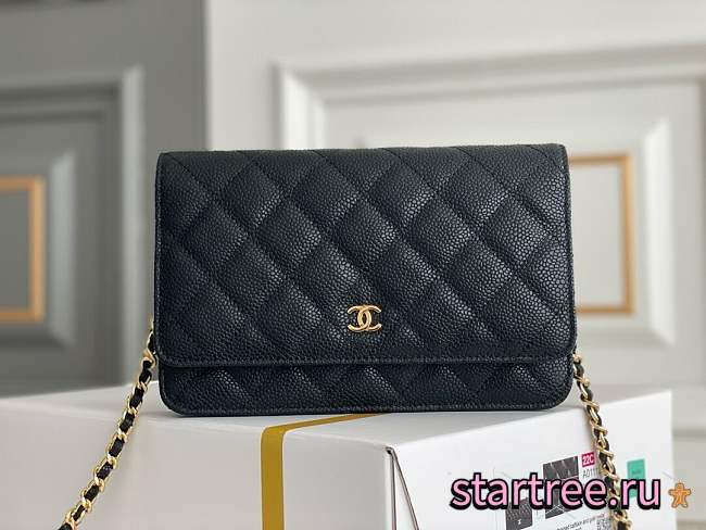Chanel | Woc Wallet On Chain Black - 19cm - 1