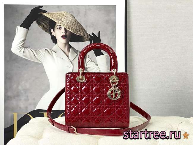 Christian Dior Medium Lady Bag - 1