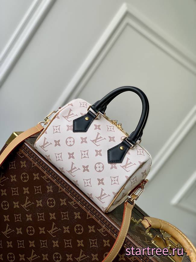 Louis Vuitton Speedy Bandouliere 20 M46906 - 1