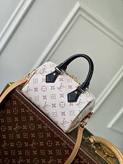 Louis Vuitton Speedy Bandouliere 20 M46906 - 1