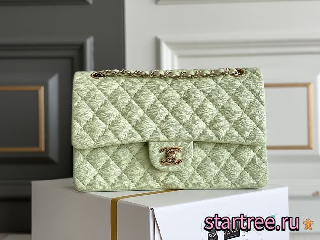 CHANEL | Classic Flap bag Caviar Gold Metal Green - A01113 - 25cm - 1