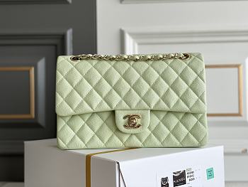 CHANEL | Classic Flap bag Caviar Gold Metal Green - A01113 - 25cm