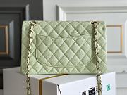 CHANEL | Classic Flap bag Caviar Gold Metal Green - A01113 - 25cm - 3