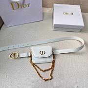 Dior Belt bag In White 002 - 1