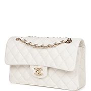 Chanel Small Classic Double Flap White Caviar Light Gold Hardware-23cm - 5