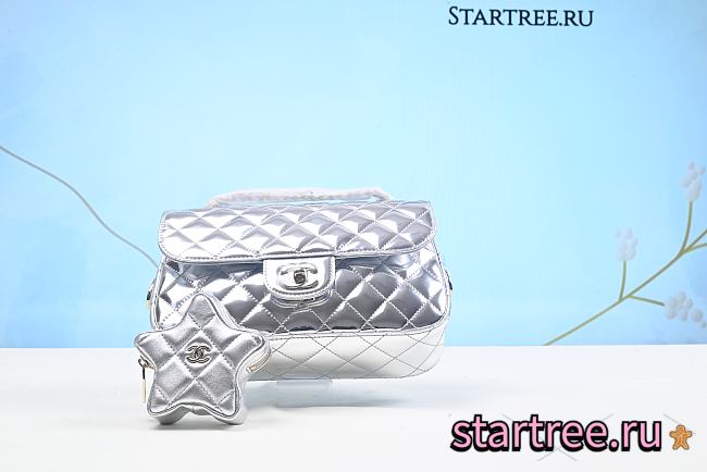 Chanel Small Flap Bag In Shiny Silver-23cm - 1