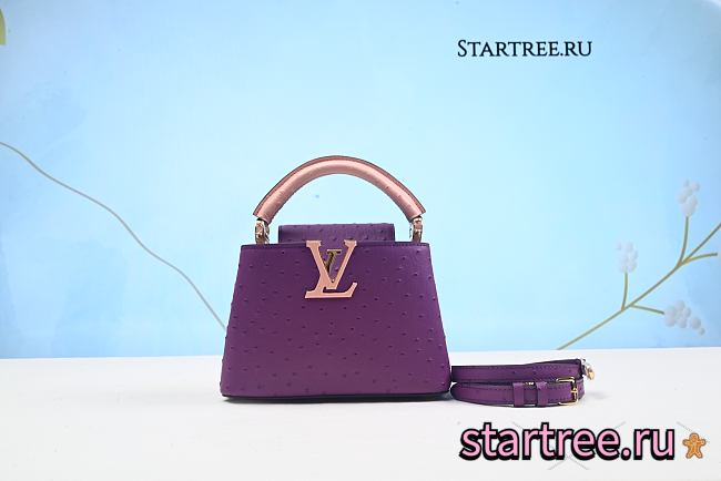 Louis Vuitton Capucines BB Ostrich Leather 012（Real shot） - 1