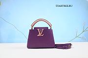Louis Vuitton Capucines BB Ostrich Leather 012（Real shot） - 1