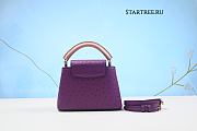 Louis Vuitton Capucines BB Ostrich Leather 012（Real shot） - 3