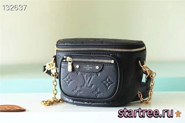 Louis Vuitton Mini Bumbag M46917 - 1