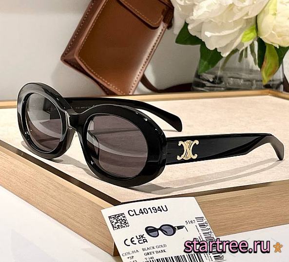 Celine Triomphe Havana Sunglasses - 1