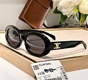 Celine Triomphe Havana Sunglasses - 1