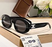 Celine Triomphe Havana Sunglasses - 6