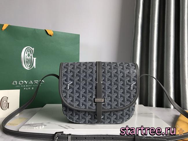 Goyard Goyardine Belvedere PM Grey - 1