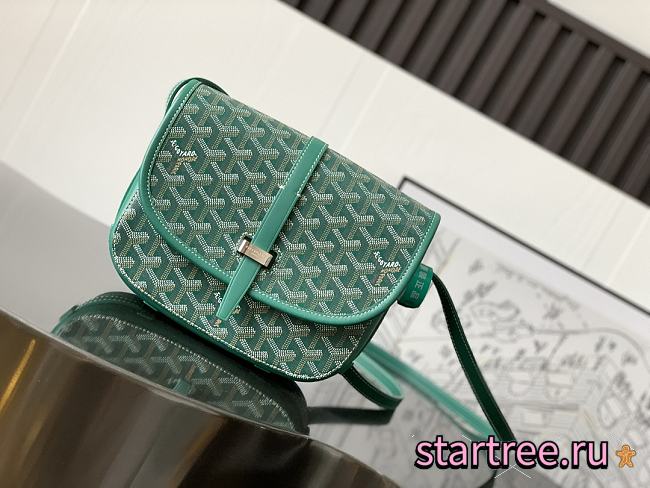 Goyard Goyardine Belvedere PM Green  - 1