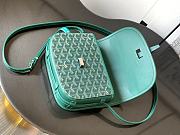 Goyard Goyardine Belvedere PM Green  - 2