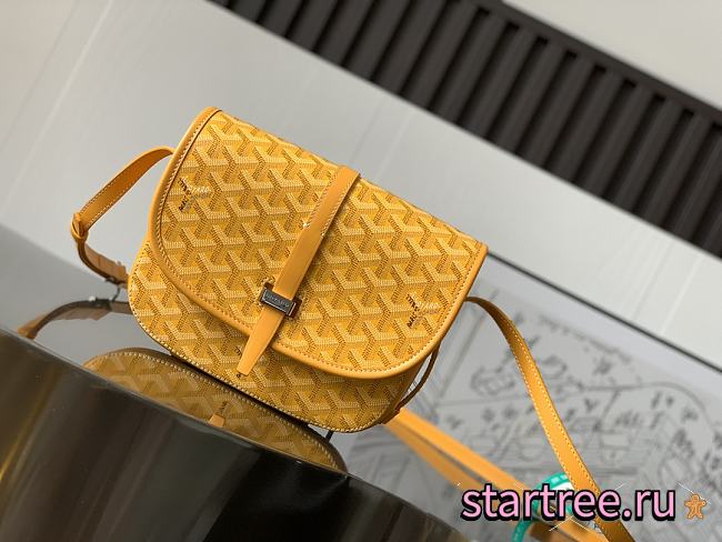 Goyard Goyardine Belvedere PM Yellow - 1