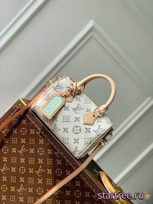 Louis Vuitton Speedy Bandoulière 20 - 1