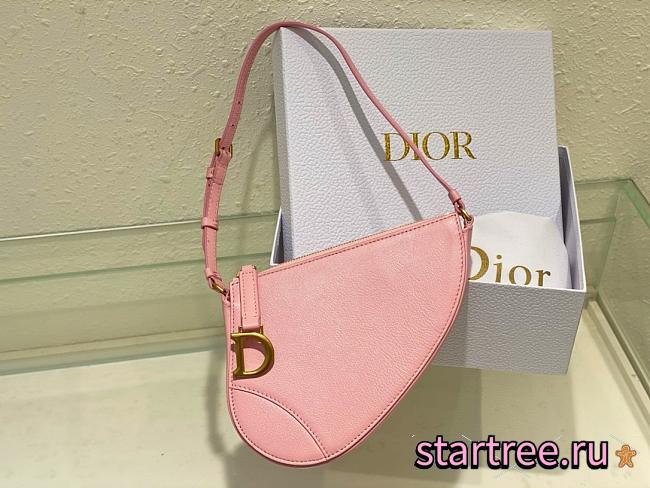 Dior Saddle Rodeo Pouch Pink Goatskin - 20 x 15 x 4 cm - 1