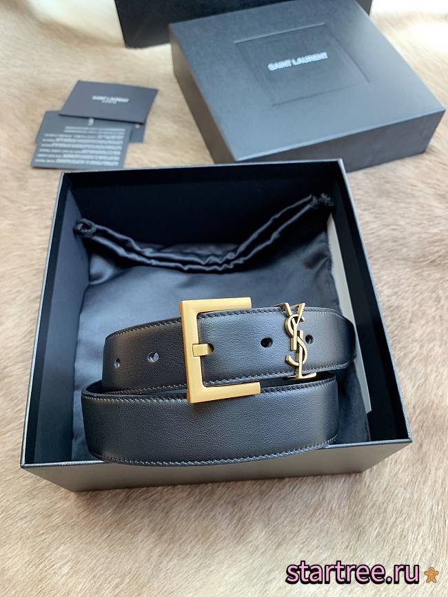 YSL Belt IN SHINY BOX SAINT LAURENT LEATHER Gold-3cm - 1